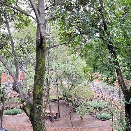 Mi Refugio San Angel Villa Mexico City Ngoại thất bức ảnh