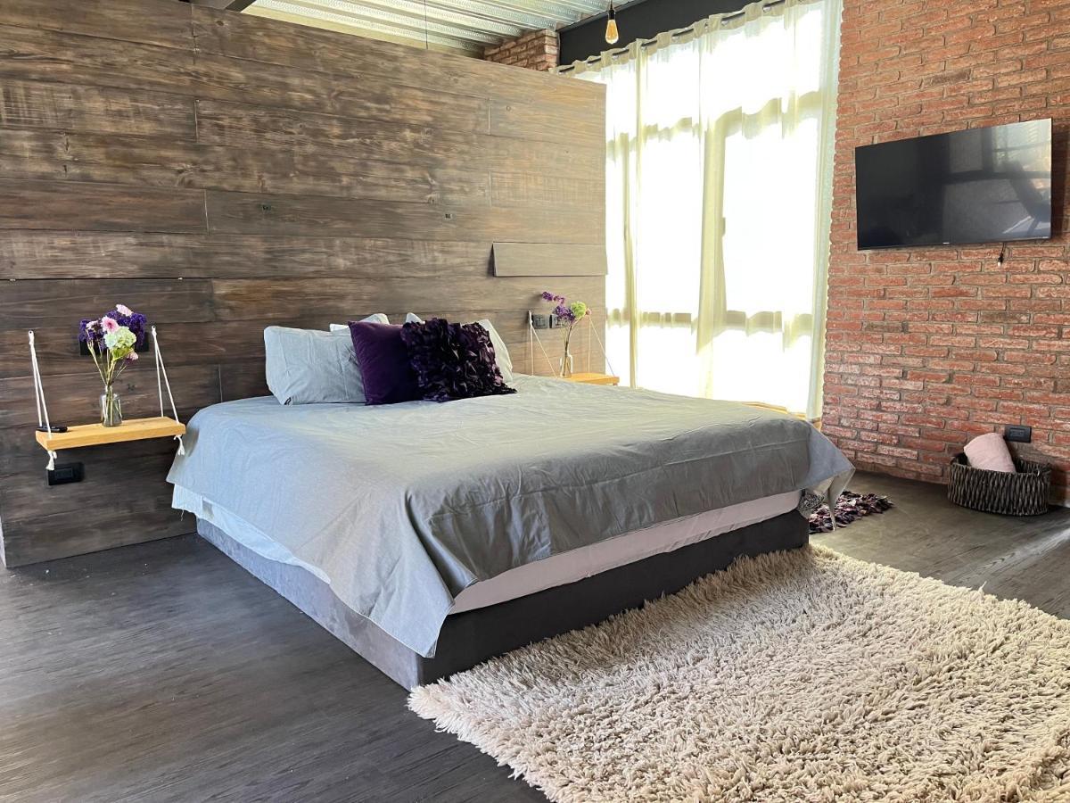 Mi Refugio San Angel Villa Mexico City Ngoại thất bức ảnh