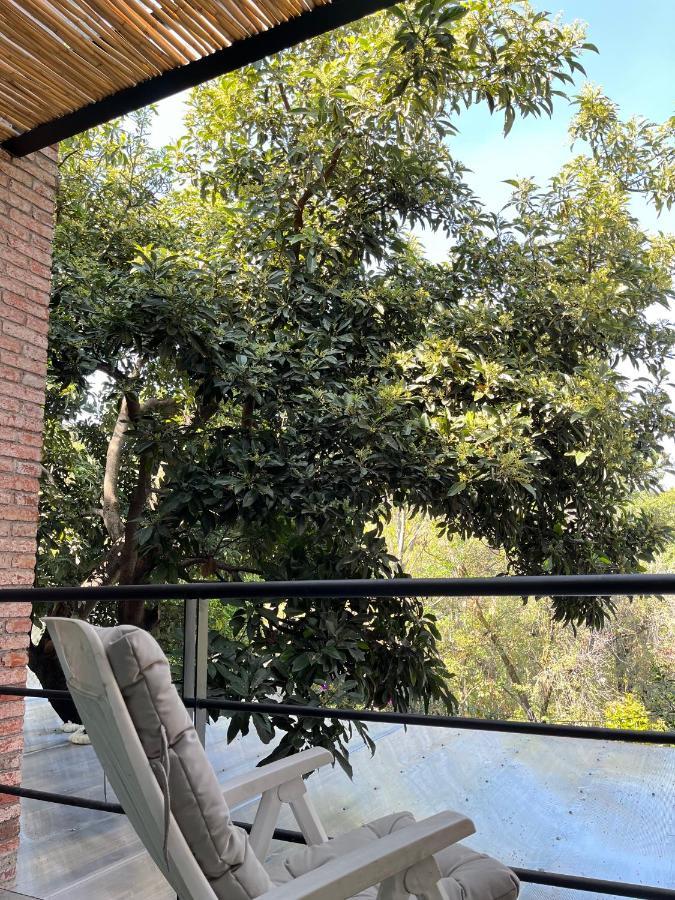 Mi Refugio San Angel Villa Mexico City Ngoại thất bức ảnh