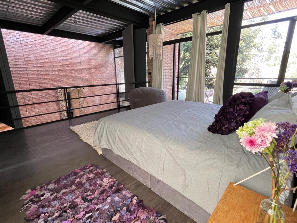 Mi Refugio San Angel Villa Mexico City Ngoại thất bức ảnh