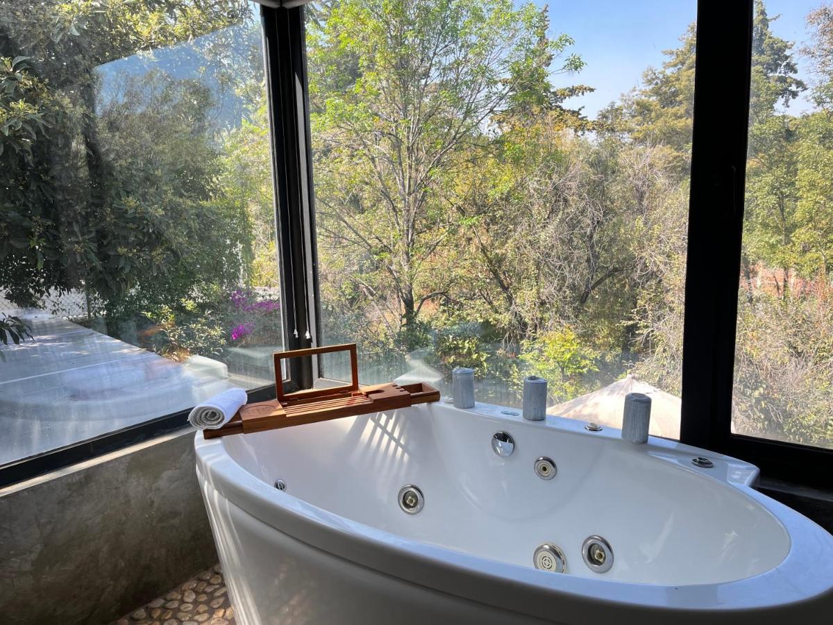 Mi Refugio San Angel Villa Mexico City Ngoại thất bức ảnh