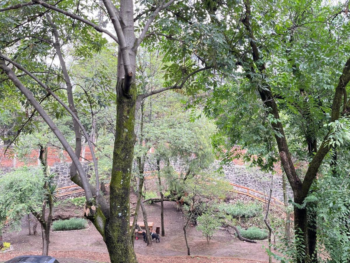 Mi Refugio San Angel Villa Mexico City Ngoại thất bức ảnh