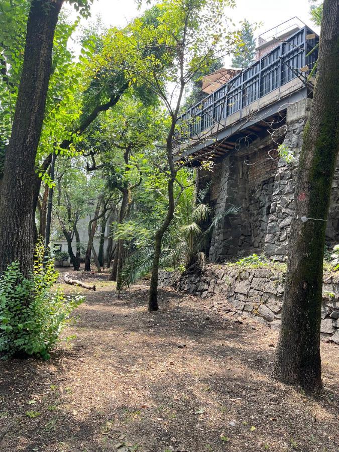 Mi Refugio San Angel Villa Mexico City Ngoại thất bức ảnh